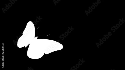 Butterfly animation (includes alpha)