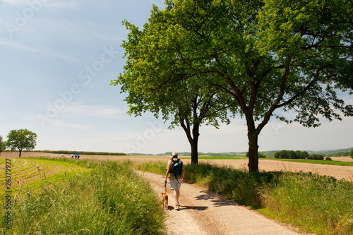 Dutch landscape with walking man