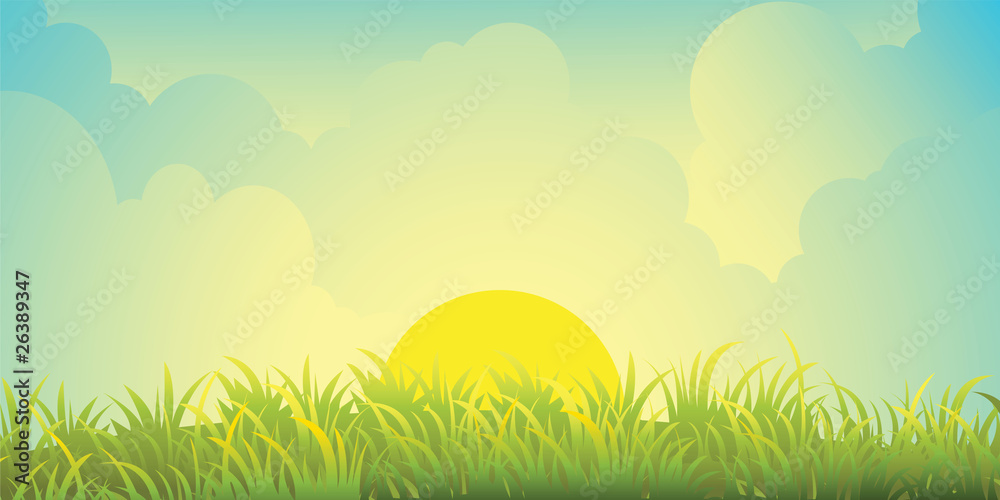 Obraz premium skies and grass