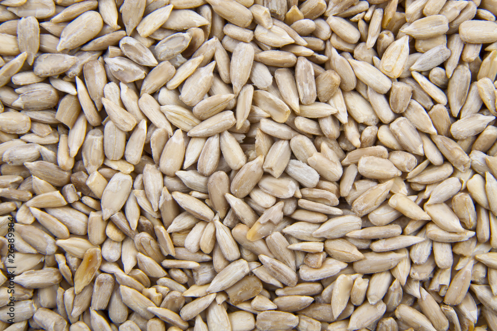 Sunflower seed Sunflower seed
