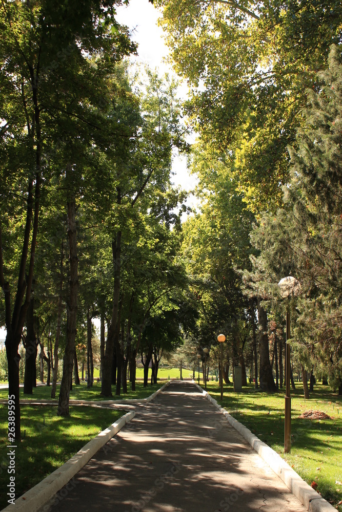 Fototapeta premium Walking road