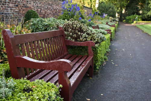 Wooden park bench