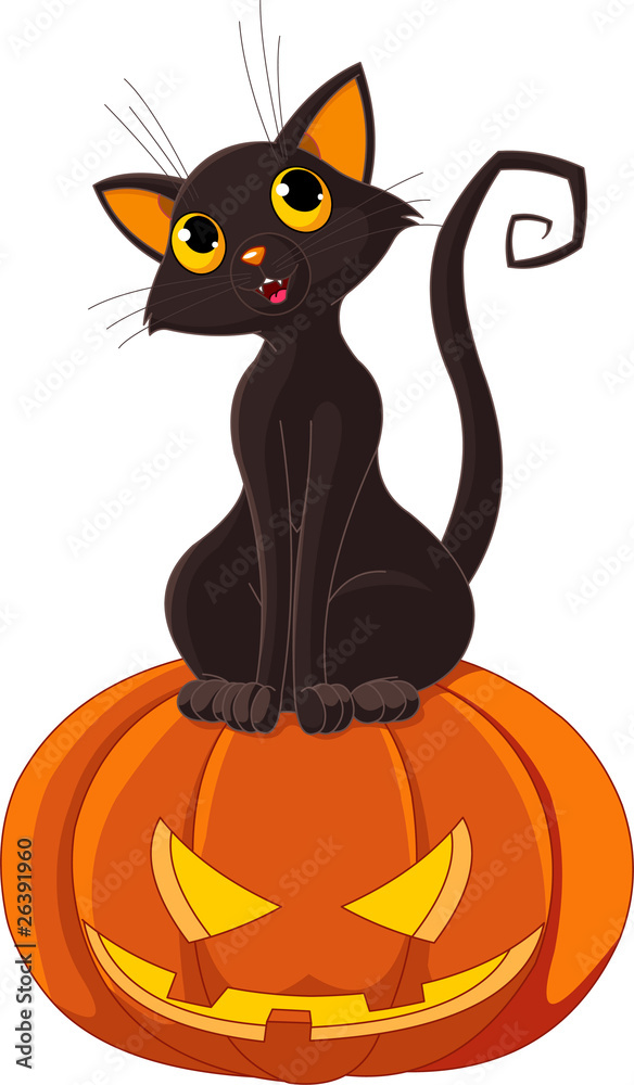 Halloween Cat on pumpkin Halloween Cat on pumpkin
