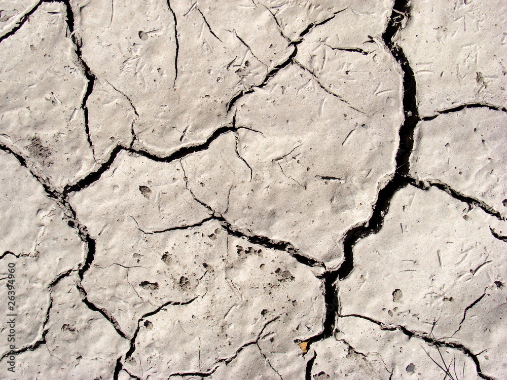 Fototapeta premium Cracked arid soil