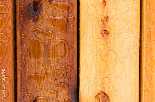 Cedar Deck in rain