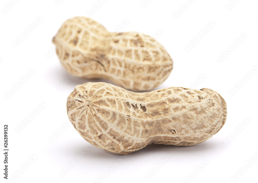Peanut in shell Peanut in shell