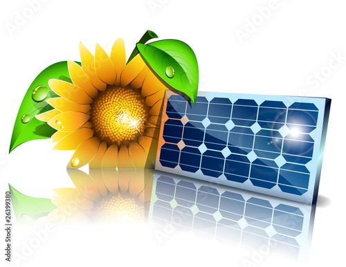 sunflower panel