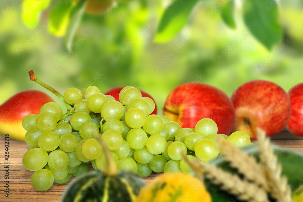 Obst 221 Obst 221
