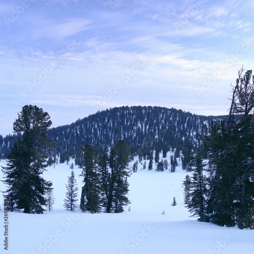 Western Sayan mountains. Ergaky. Siberia. Russia in winter time. photo