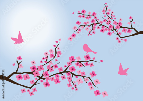 sakura branches with birds