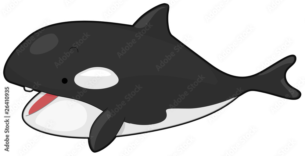 Fototapeta premium Killer Whale