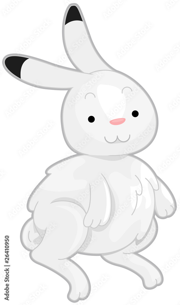 Fototapeta premium Arctic Hare