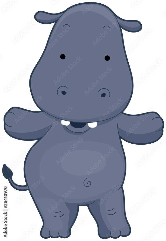 Obraz premium Cute Hippo