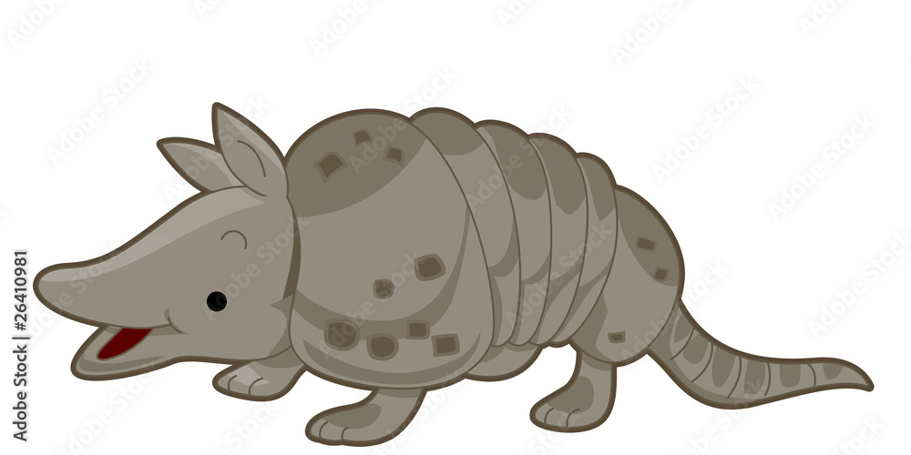 Obraz premium Armadillo