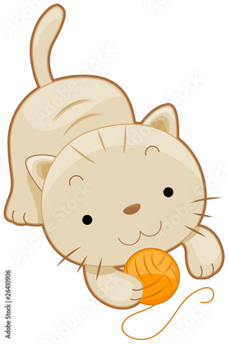 Cute Cat