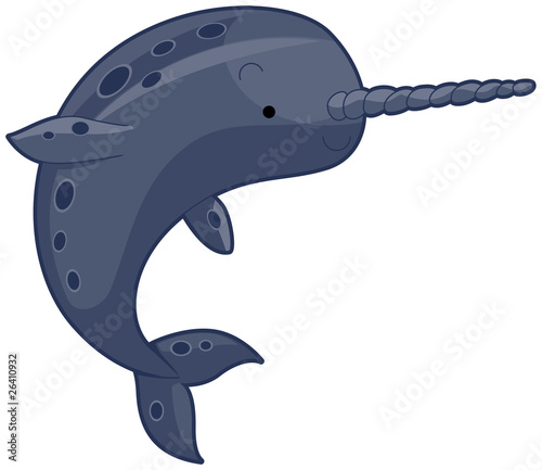 Narwhal