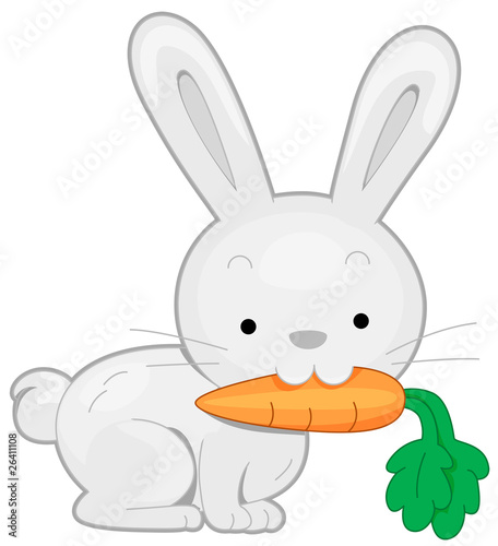 Rabbit