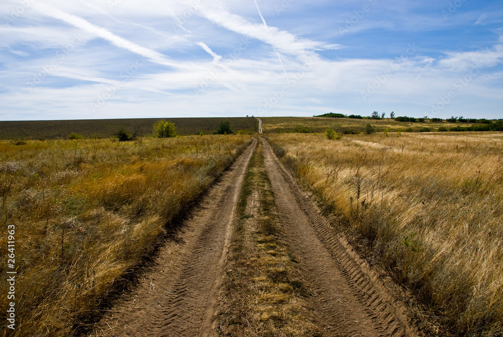 A dirt road among fields and meadows