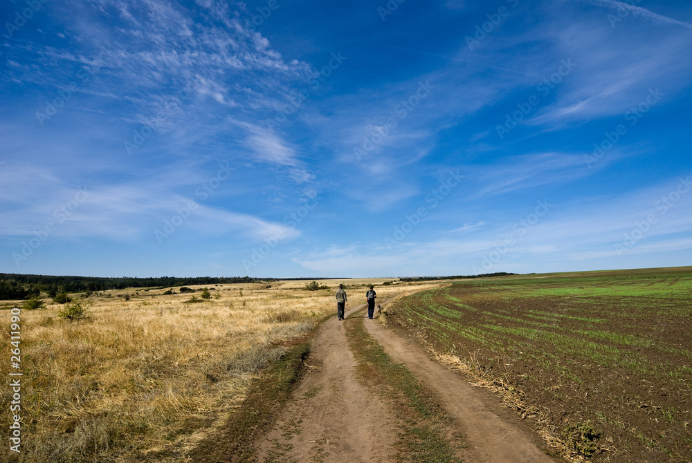 People on the steppe road