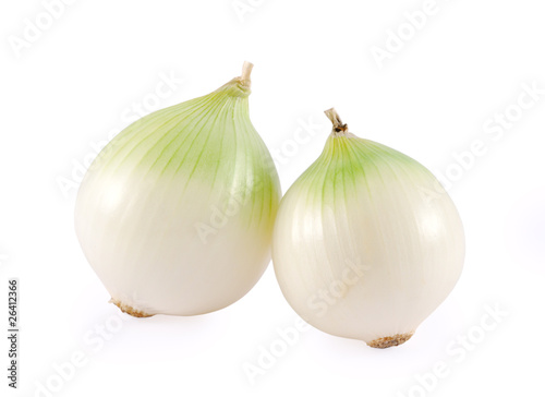 two white onion bulb isolated on white background