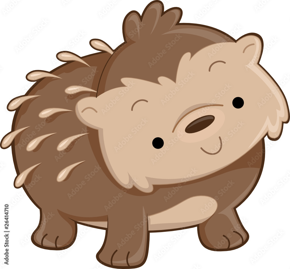 Cute Hedgehog Cute Hedgehog