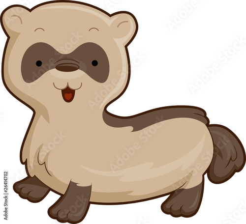 Cute Ferret