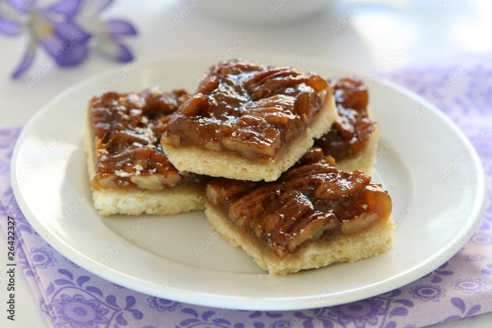 Pecan Squares Pecan Squares