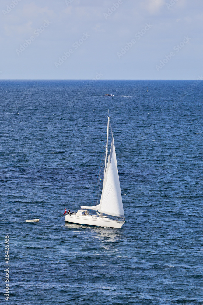 Obraz premium Sailing on the sea