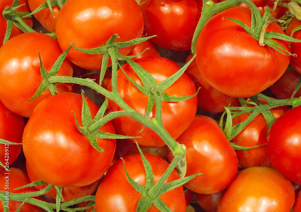 tomatoes