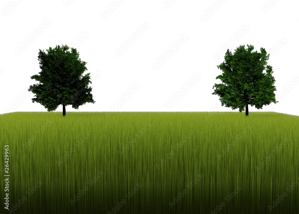 Obraz premium Trees on meadow