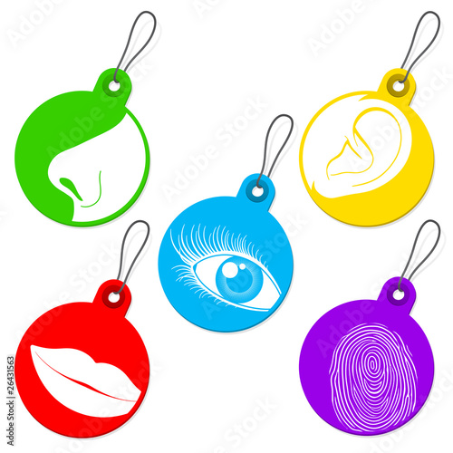 Five senses tag set