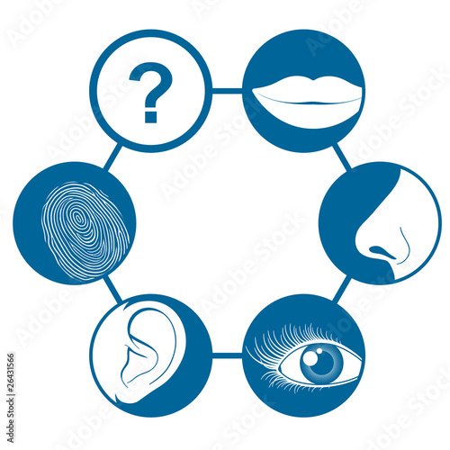 Six senses icons