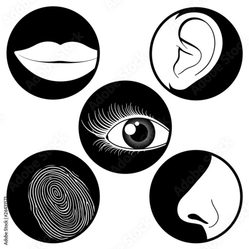 Five senses icons