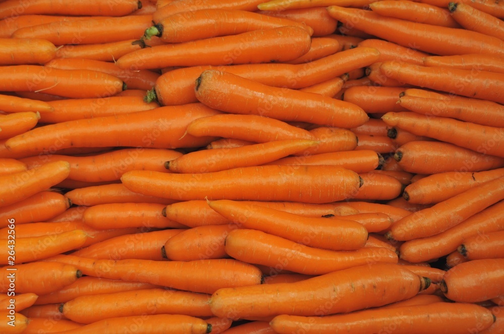 carrots carrots