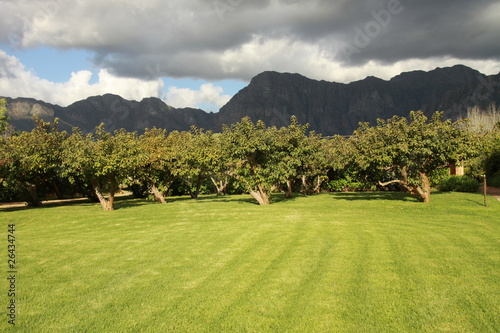 Plantage im Weinanbaugebiet Cape Winelands