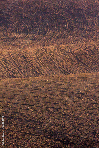 freshly ploughed field