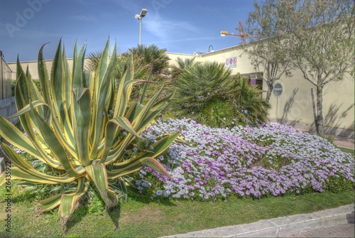 Giardino italiano