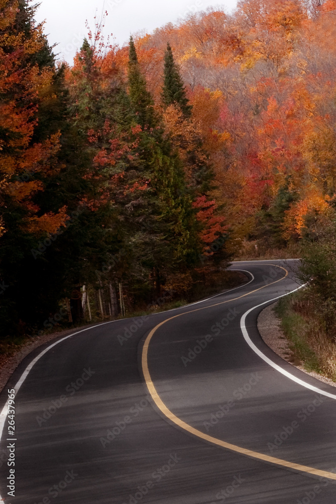 Fototapeta premium Autumn