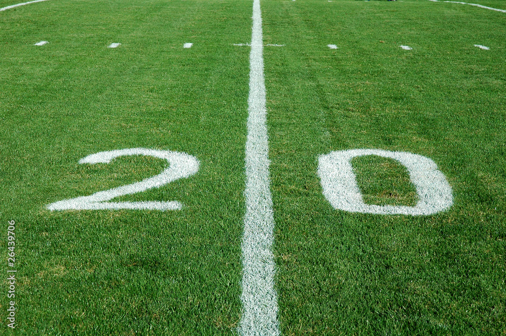 20 Yard Line - Natural Grass