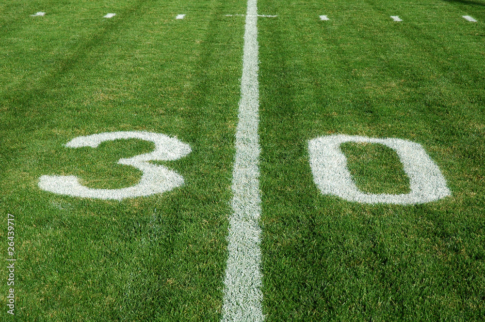 30-Yard Line - Natural Grass