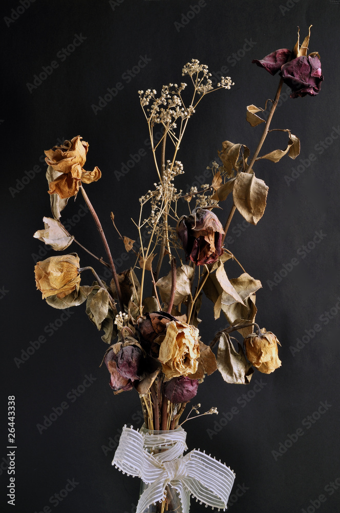 Fototapeta premium Rosas marchitas