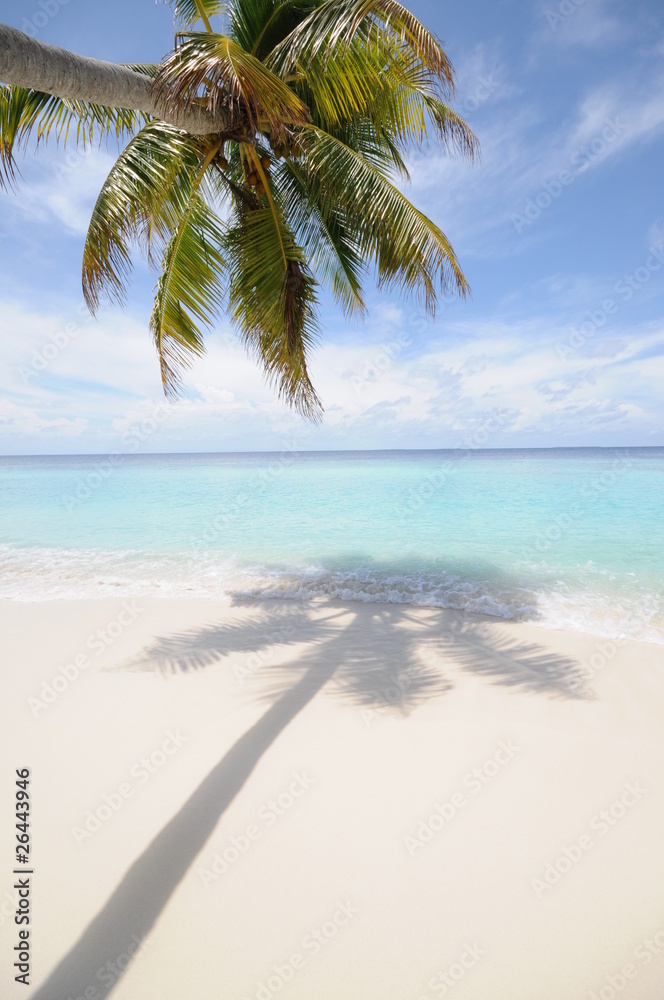 maldives/モルディブ/白い砂浜