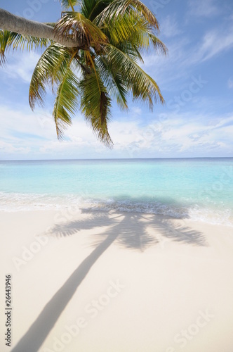 Fototapeta Naklejka Na Ścianę i Meble -  maldives/モルディブ/白い砂浜