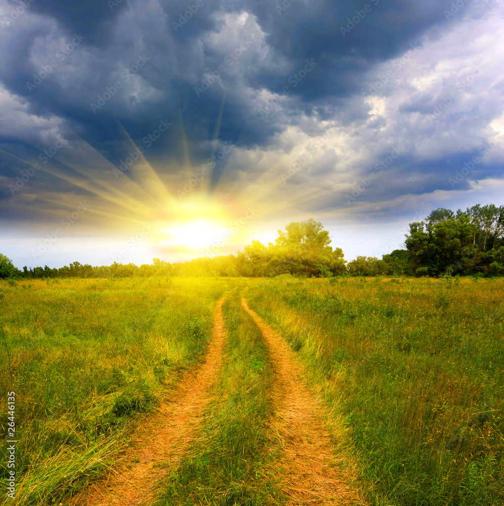 Obraz premium Rural road in steppe