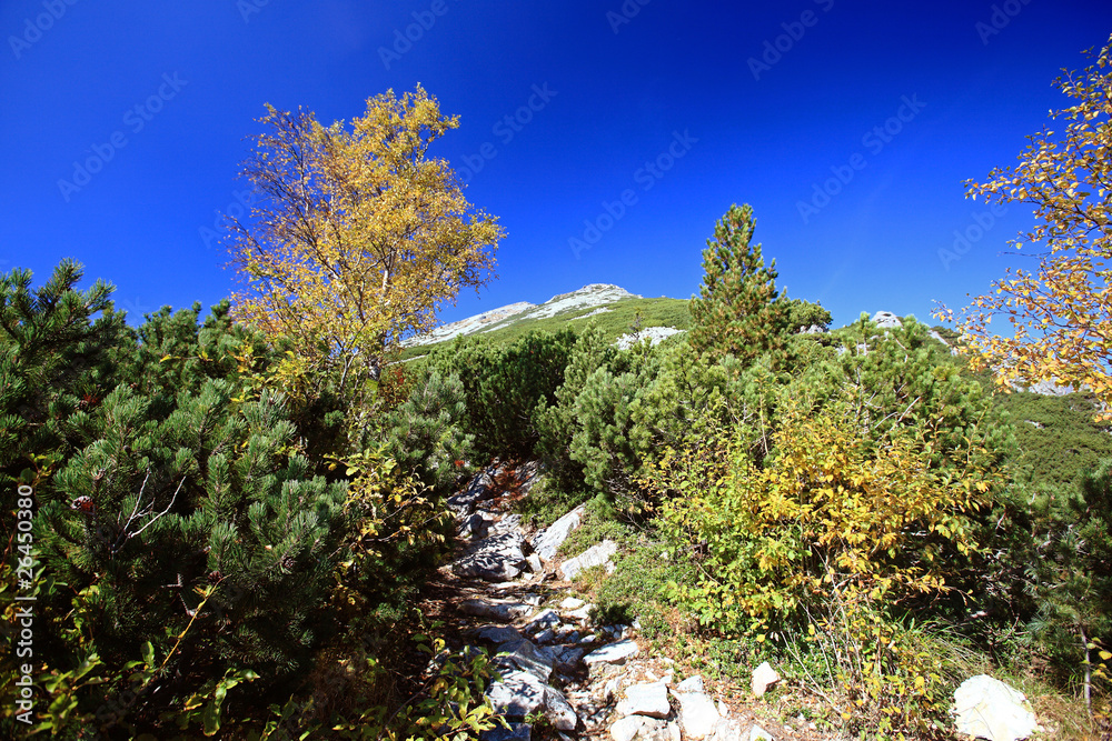 autumn neture general view autumn neture general view