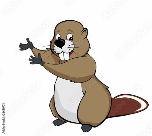 beaver show