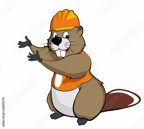 beaver show (orange)