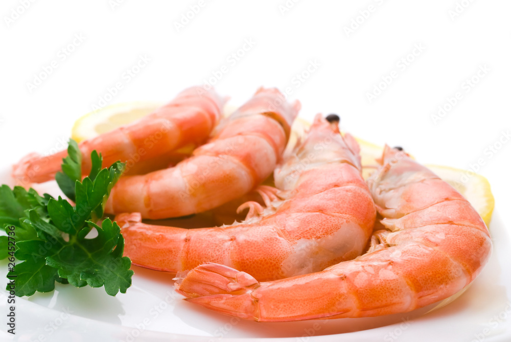 Shrimp on white background