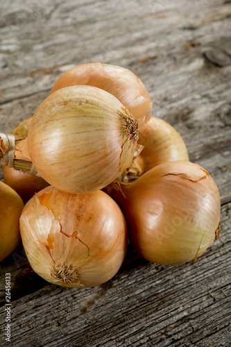 string of onions- treccia di cipolle