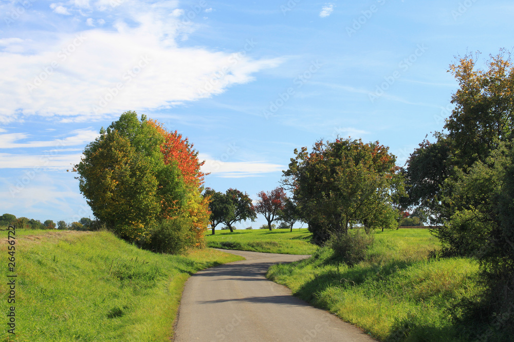 Fototapeta premium Herbst